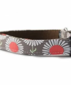 Baby & Pets Sophisticated Pup - Daisies In Taupe Dog Collar Small