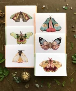 Polanshek Of The Hills Cards Moths Small Card Pack