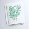 Steel Petal Press Fiddle Leaf Fig Card Cards