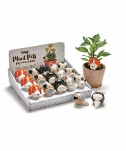 Poppy & Vale Plant Pet Buddies