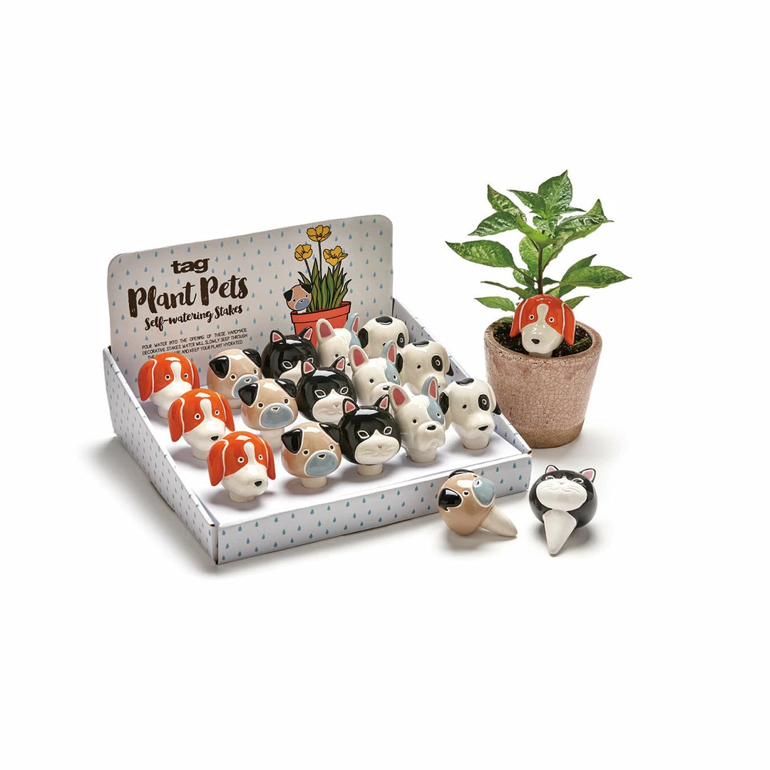 Flash Sale ๐ Poppy & Vale Plant Pet Buddies ๐ฅฐ 1 Poppy & Vale Plant Pet Buddies