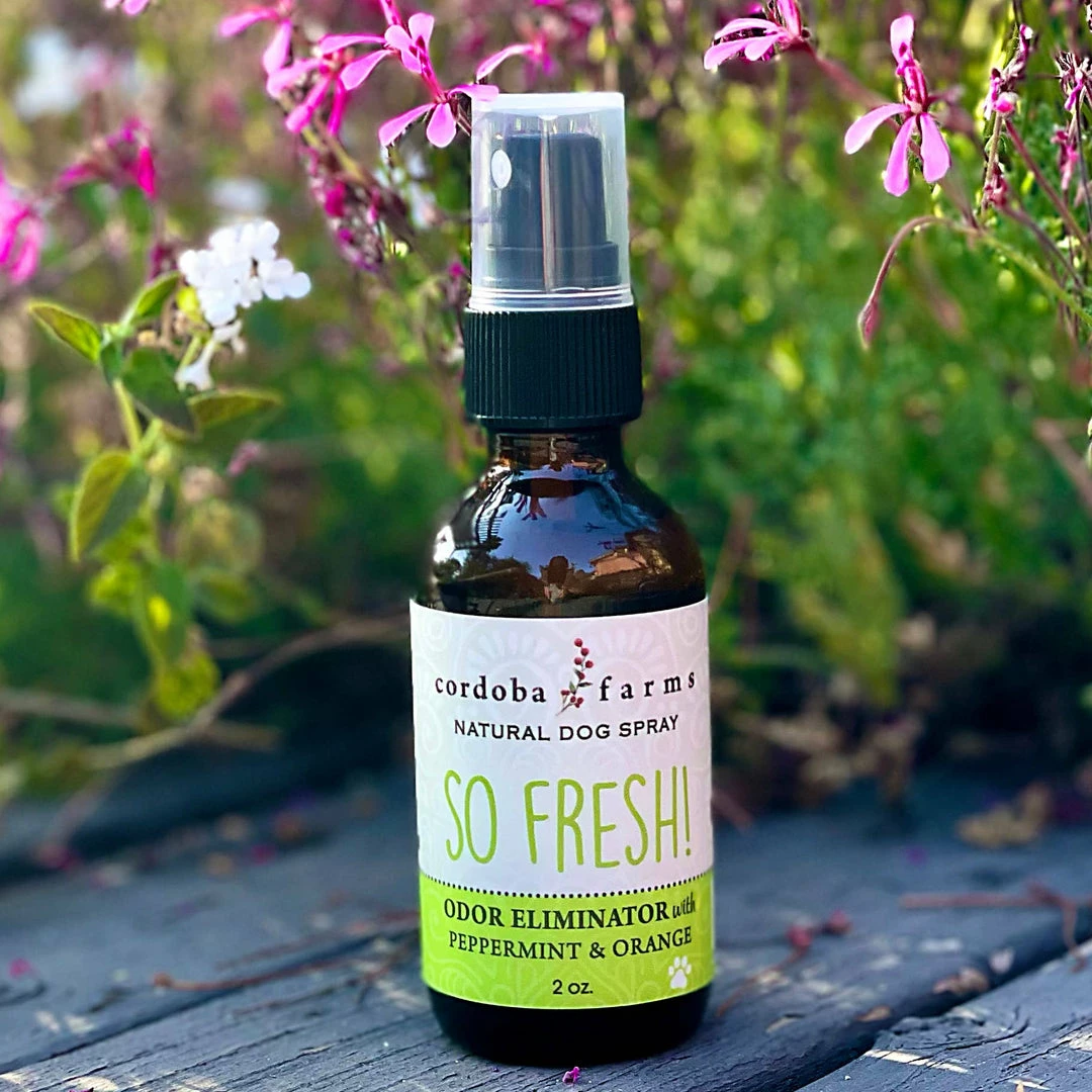 Cheap ✨ Cordoba Farms So Fresh! Odor Eliminator Spray 👏 1 Cordoba Farms So Fresh! Odor Eliminator Spray
