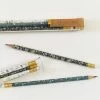 June & December Greenhouse Mix Pencil Terrarium, Set Of 5 Pencils