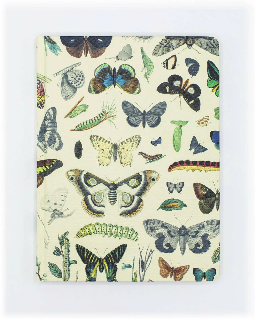 Budget ๐ Cognitive Surplus Butterflies Hardcover Notebook Stationery ๐ฅฐ 1 Cognitive Surplus Butterflies Hardcover Notebook Stationery