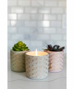 Cheapest ๐ฏ Soy Essentials LLC Candles And Scents Garden Terrace Vanilla Orchid Concrete Candle 15oz ๐ 5 Soy Essentials LLC Candles And Scents Garden Terrace Vanilla Orchid Concrete Candle 15oz
