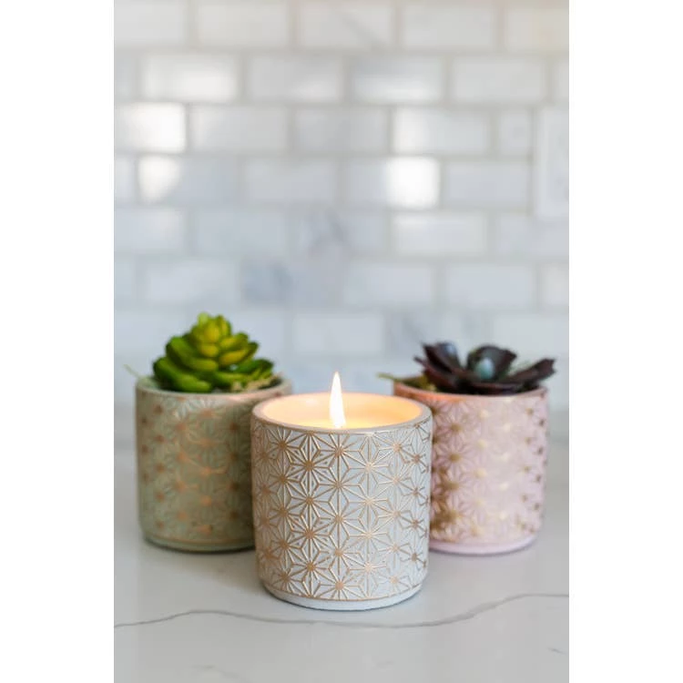 Cheapest ๐ฏ Soy Essentials LLC Candles And Scents Garden Terrace Vanilla Orchid Concrete Candle 15oz ๐ 3 Soy Essentials LLC Candles And Scents Garden Terrace Vanilla Orchid Concrete Candle 15oz