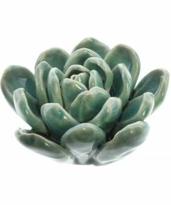HomArt Ceramic Succulent