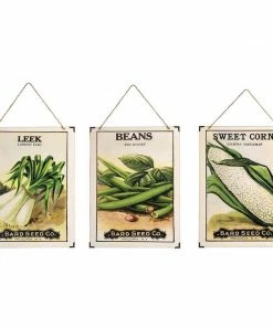 C&F Home Seed Pack Wall Art