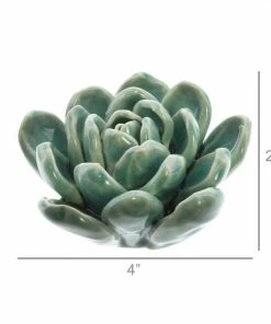 HomArt Ceramic Succulent