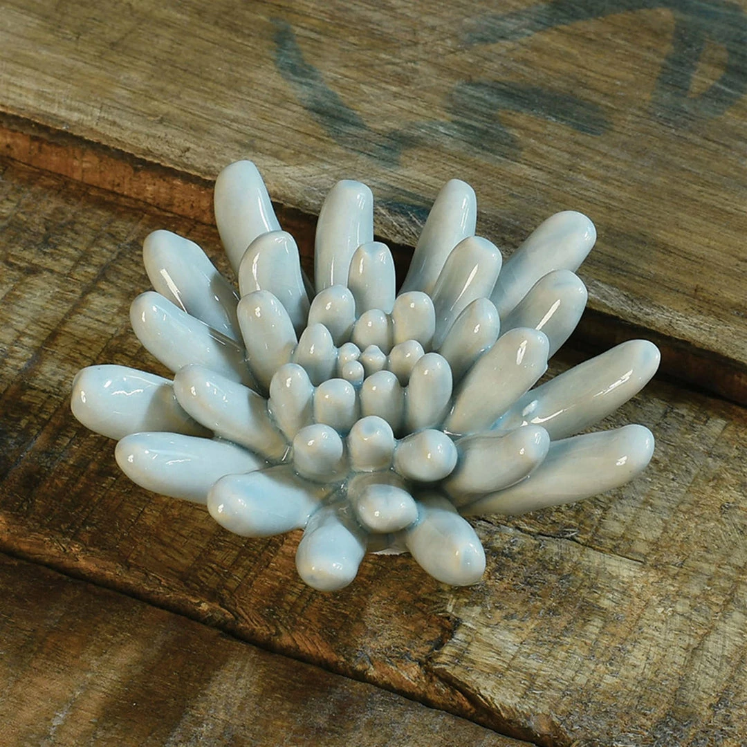 Cheapest 🤩 HomArt Ceramic Succulent Home Goods ⌛ 1 HomArt Ceramic Succulent Home Goods