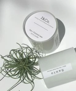 Z&Co. Home Goods Santo Soy+ Coconut Wax Candle White Tulip House