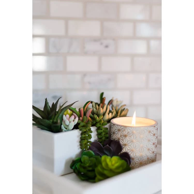 Cheapest ๐ฏ Soy Essentials LLC Candles And Scents Garden Terrace Vanilla Orchid Concrete Candle 15oz ๐ 2 Soy Essentials LLC Candles And Scents Garden Terrace Vanilla Orchid Concrete Candle 15oz