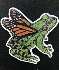 Nature Walk The Frog Grew Wings Stationery