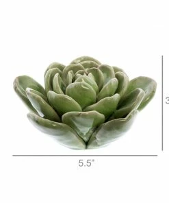 Poppy & Vale Succulent Ceramic LRG