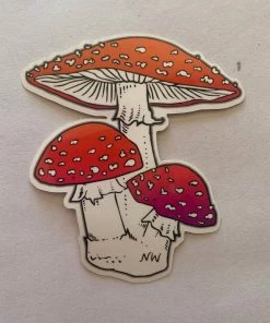Nature Walk Stationery Amanita Mushrooms Sticker