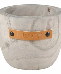 Santa Barbara Design Studio By Creative Brands I Will Survive Wood Planter
