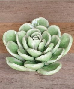 Poppy & Vale Succulent Ceramic LRG