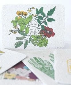 Koru Street Stationery Sustainable Seasons Growing Paper Gretting Card / Set Of 5