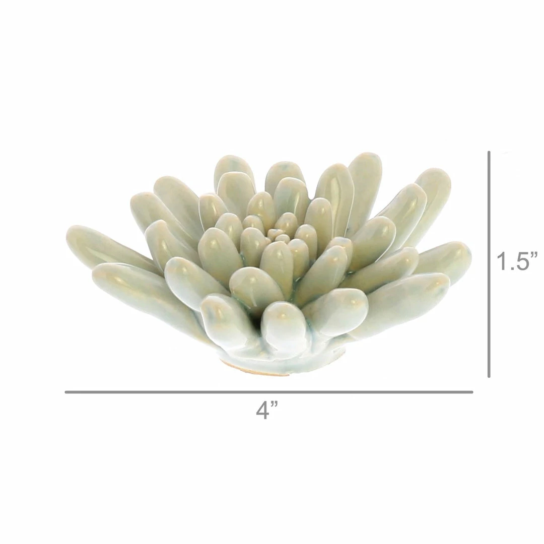 Cheapest 🤩 HomArt Ceramic Succulent Home Goods ⌛ 3 HomArt Ceramic Succulent Home Goods