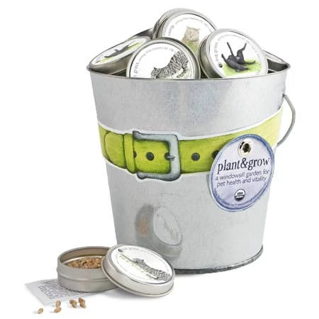 Budget 🤩 Potting Shed Creations, Ltd. - Pet Garden Sprinkle Pail Baby & Pets ✔️ 1 Potting Shed Creations, Ltd. - Pet Garden Sprinkle Pail Baby & Pets