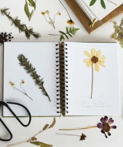 June & December Stationery Herbarium Journal