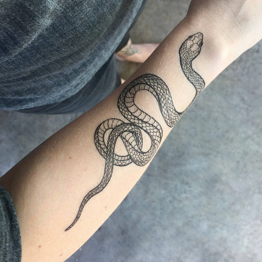 Buy ⌛ NatureTats Garden Snake Temporary Tattoo ✔️ 1 NatureTats Garden Snake Temporary Tattoo