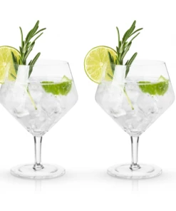 Viski Gin & Tonic Glasses