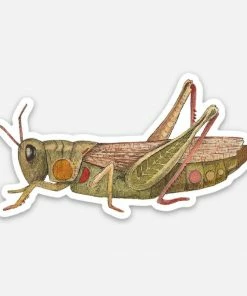 Polanshek Of The Hills Grasshopper Sticker Stationery