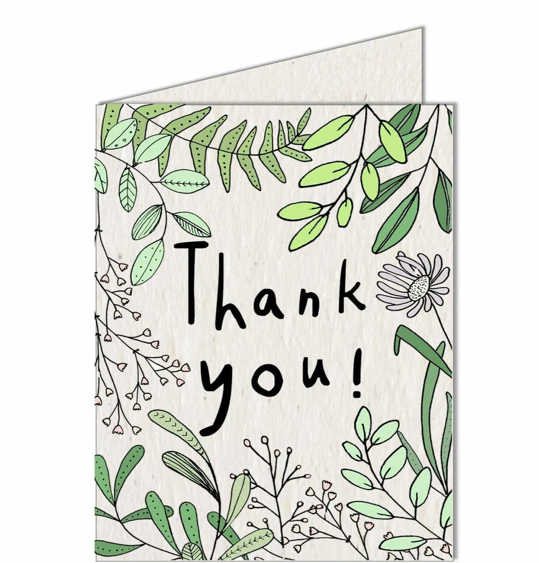 Promo ⌛ Koru Street Thank You Growing Paper Greeting Card 🔥 1 Koru Street Thank You Growing Paper Greeting Card