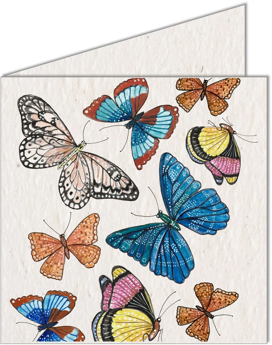Deals 🌟 Koru Street Butterfly Growing Paper Greeting Card 🎁 1 Koru Street Butterfly Growing Paper Greeting Card