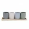 Willow Street Designs By Dei Planter And Tray Set Vases