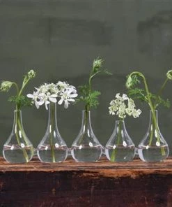 HomArt Vases Quintet Glass Vase