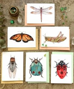 Polanshek Of The Hills Bug Collection- Small Card Pack