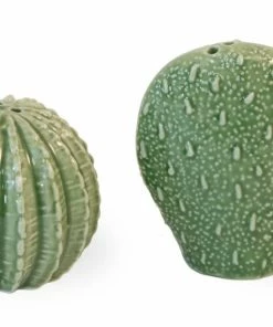 Boston International Prickly Cactus Salt & Pepper Set