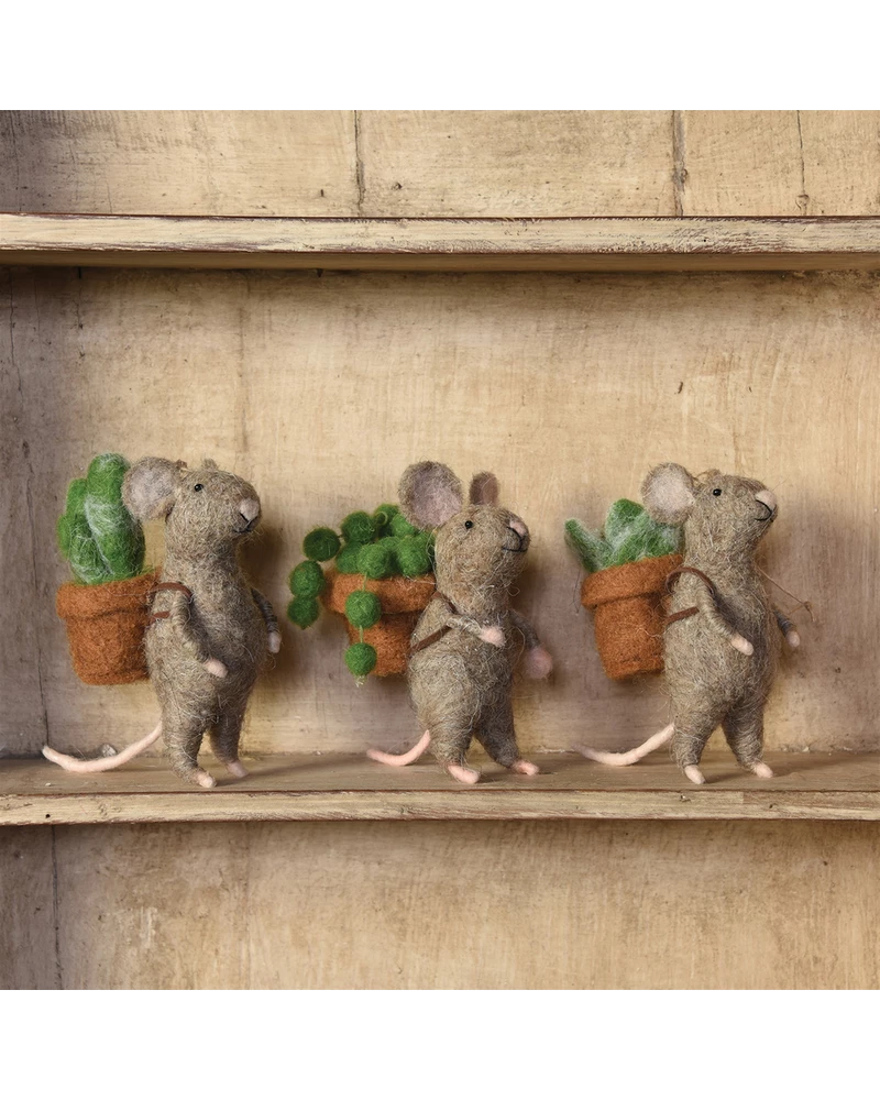 Best reviews of 🎁 Homart Seasonal Felt Mice Holding Succulent ✔️ 1 Homart Seasonal Felt Mice Holding Succulent